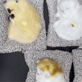 Sleeping Cat Plush Toy with Sound