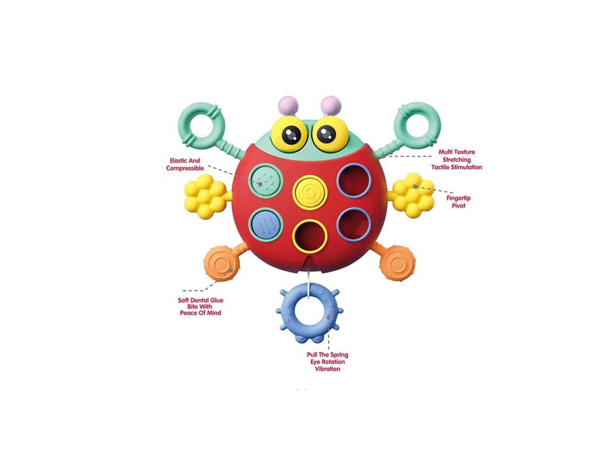 Ladybug Pull Toy - Zambeel