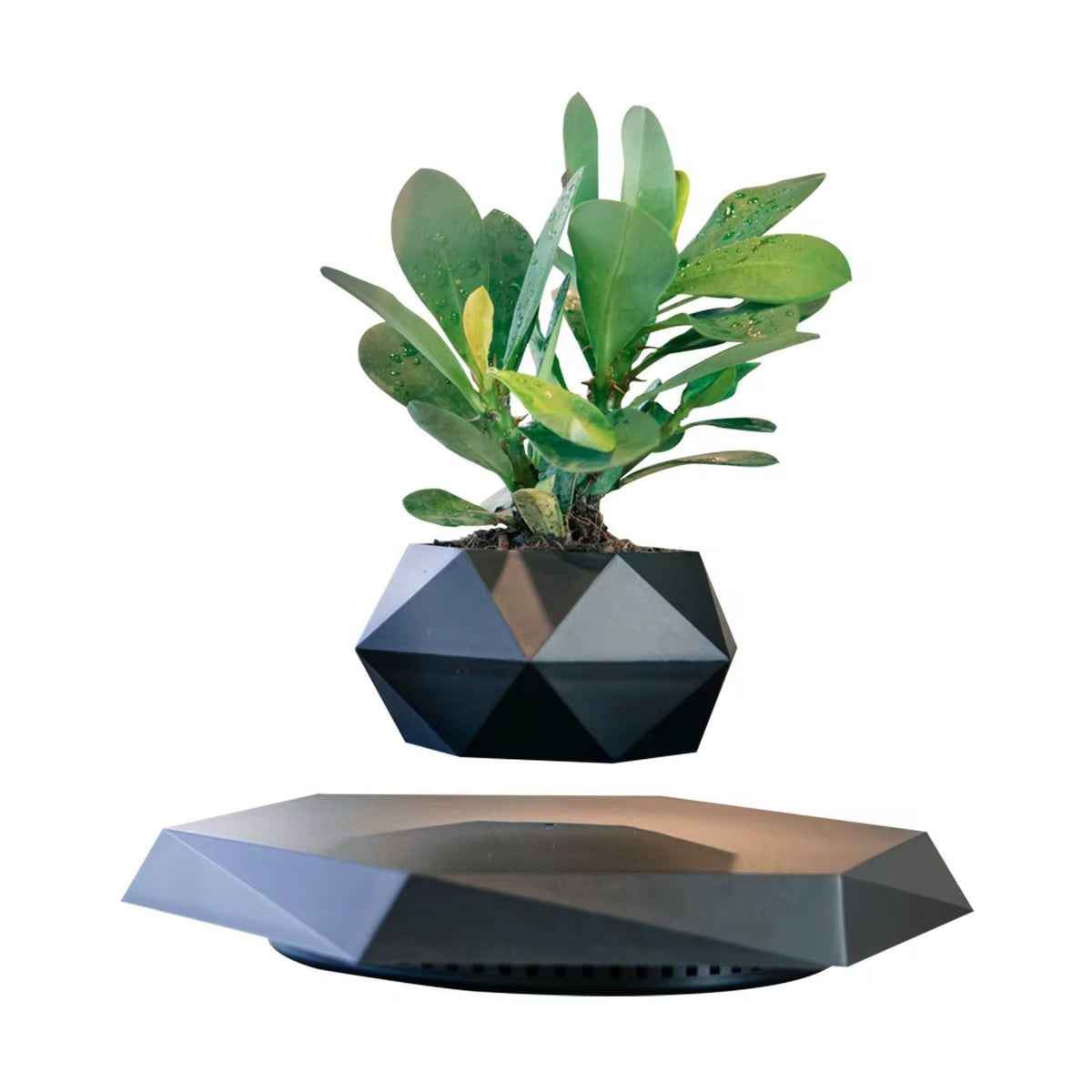 Levitating - Bonsai Planter Pot © - Zambeel