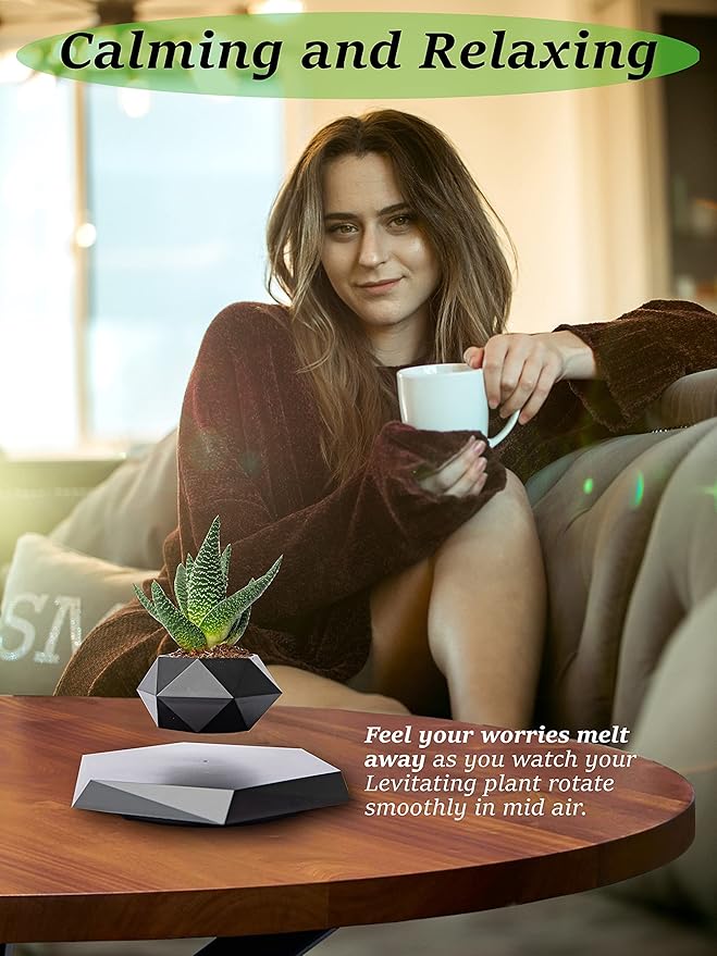 Levitating - Bonsai Planter Pot © - Zambeel