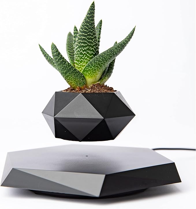Levitating - Bonsai Planter Pot © - Zambeel