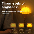 Mini Umbrella Magnetic Silicone Light - Zambeel