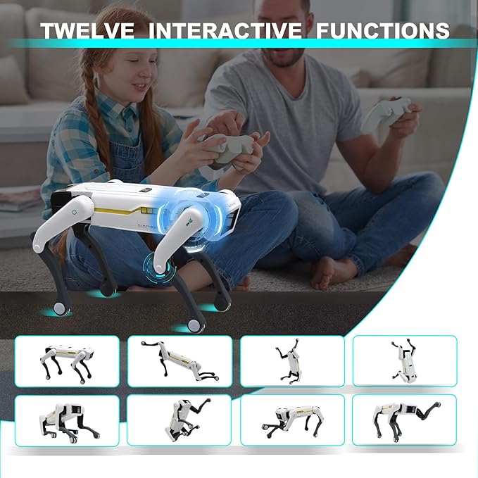 Smart Dog Multifunctional Toy © - Zambeel
